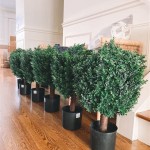 Faux Boxwoods For Outdoor Planters